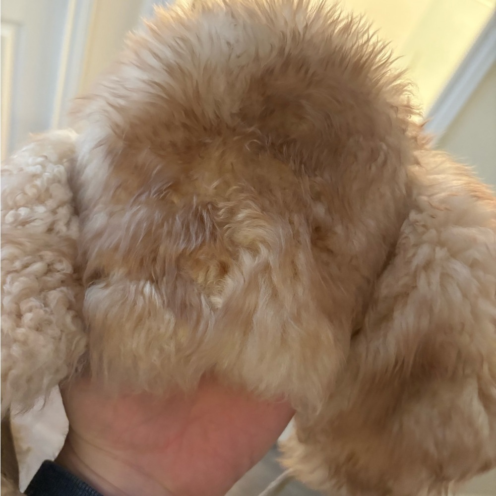 Vintage Lambskin Fur Kendal Milne Toque - Picture 5 of 10